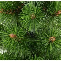 Erbis Zylk 120 Image #2