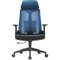 Insite Rise 1-IS-MC-0510 (синий/черный)