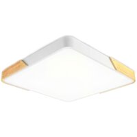 Ambrella light FZ1312