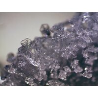 Bresser Erudit ICD 20x/40x 74313 Image #11