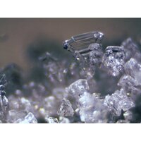 Bresser Erudit ICD 20x/40x 74313 Image #12