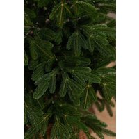 Ёлушка Литая Марьинская ЕМАР 20 (2м) Image #5