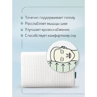 Natura Vera Ergo Nova 38x58 Image #9