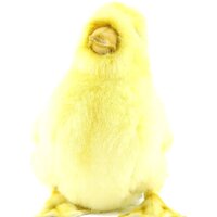 Hansa Сreation Утенок 4857 (20 см) Image #3