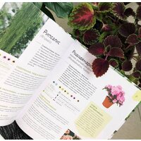 Эксмо. Зеленый оазис. Комнатные растения от А до Я (Березкина Ирина Валентиновна) Image #6