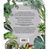 Эксмо. Зеленый оазис. Комнатные растения от А до Я (Березкина Ирина Валентиновна) Image #2