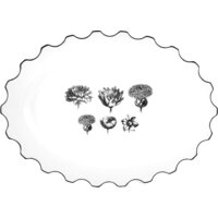 Vista Alegre Herbariae 21133066