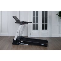 Orlauf Larus (серый) Image #5