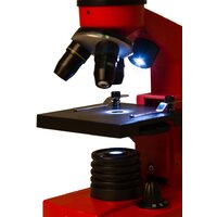 Levenhuk Rainbow 2L (апельсин) 69039 Image #9