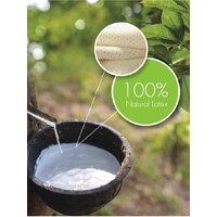 Getha из 100% натурального латекса Togetha 100 180x200x23 Image #6