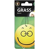 Grass Картонный ароматизатор Смайл, дыня ST-0399