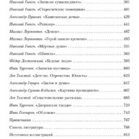 Альпина Диджитал. Полка. О главных книгах русской литературы (Сапрыкин Ю. и др.) Image #3