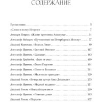 Альпина Диджитал. Полка. О главных книгах русской литературы (Сапрыкин Ю. и др.) Image #2