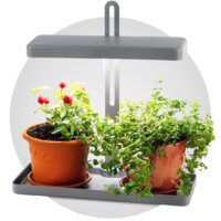 ЭРА FITO-20W-QLED-W Image #2