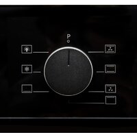 Konigin Barberry 60 BKF MR7 Image #4