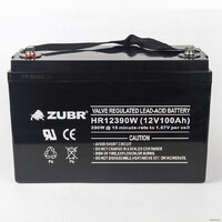 Zubr HR12390W 12V/100Ah