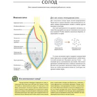 Попурри. Пиво. Руководство для ценителей (Обер Г.) Image #11