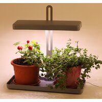 ЭРА FITO-20W-QLED-G Image #4