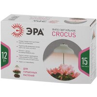 ЭРА FITO-12W-FLED Image #2