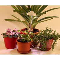 ЭРА FITO-12W-FLED Image #3