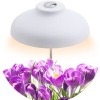 ЭРА FITO-12W-FLED Image #4