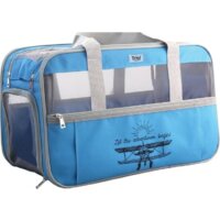 Triol Техно (серый/голубой)