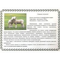 Слуцкие пояса 220x200 18С-171-224 Image #3