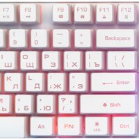 Nakatomi KG-23U (белый) Image #13