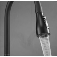 Shevanik S163H Image #15