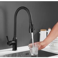 Shevanik S163H Image #6