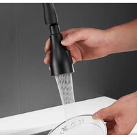 Shevanik S163H Image #19