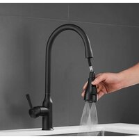 Shevanik S163H Image #20