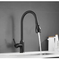 Shevanik S163H Image #5