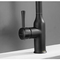 Shevanik S163H Image #27