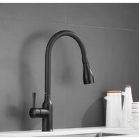 Shevanik S163H Image #24