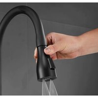 Shevanik S163H Image #21