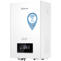 Thermex Grizzly 5-12 Wi-Fi Image #2