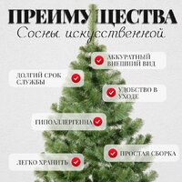 Erbis Sosna 150 Image #5