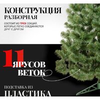 Erbis Sosna 150 Image #4