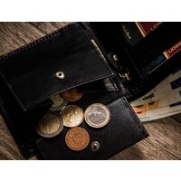 Peterson PTN 309K (черный) Image #7