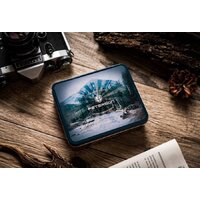 Peterson PTN 309K (черный) Image #13