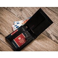 Peterson PTN 309K (черный) Image #9