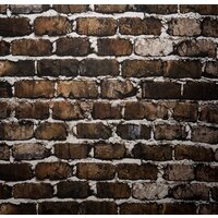 Falcon Eyes ArtPrint 1521 Image #3