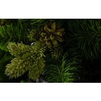 GreenTerra Рапсодия зеленая 2.2 м Image #6