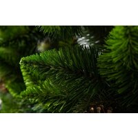 GreenTerra Рапсодия зеленая 2.2 м Image #16