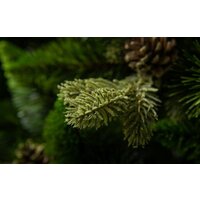 GreenTerra Рапсодия зеленая 2.2 м Image #15