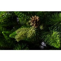 GreenTerra Рапсодия зеленая 2.2 м Image #10