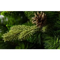 GreenTerra Рапсодия зеленая 2.2 м Image #9