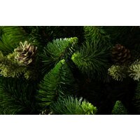 GreenTerra Рапсодия зеленая 2.2 м Image #13