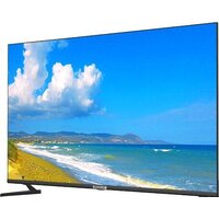 Polarline 55PU52TC-SM Image #2